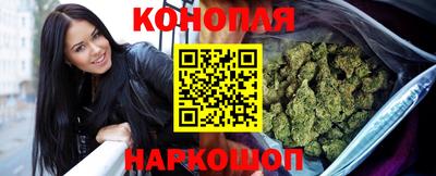 гидра Братск