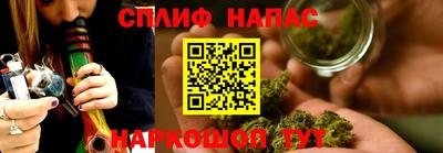 гидра Братск