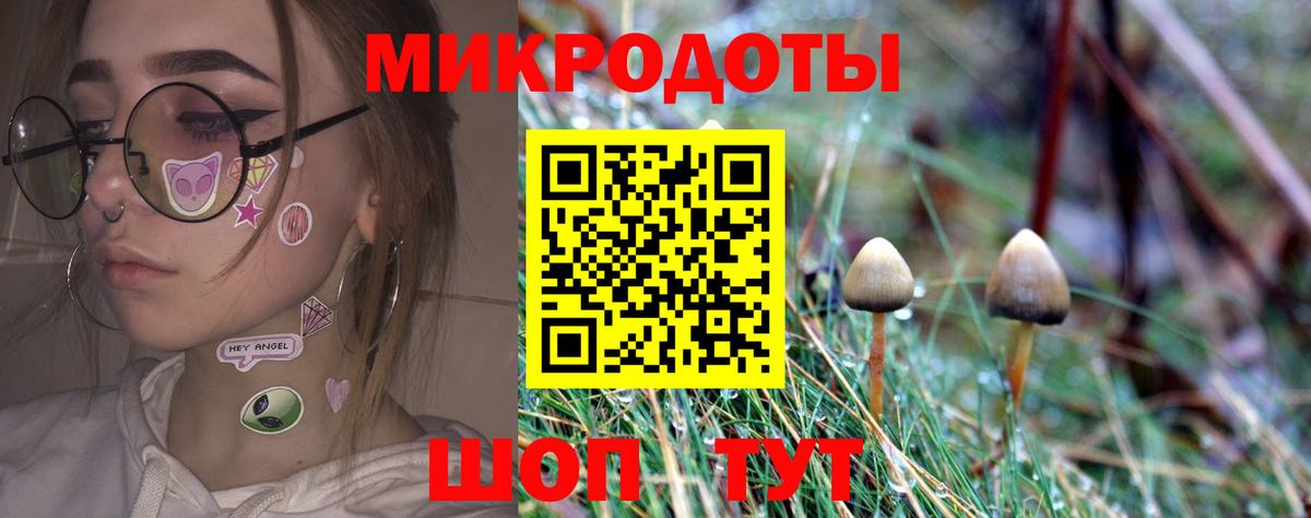 Сызрань  Псилоцибиновые грибы Psilocybine cubensis  Вход с VPN  Псилоцибиновые грибы Cubensis 